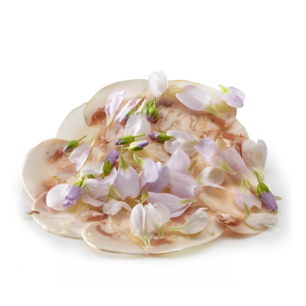 Mugaritz, Rentería